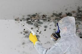 Best Mold Remediation for Healthcare Facilities  in Baldwinsville, NY